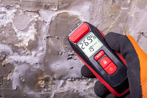 Best Professional Mold Removal  in Monroeville, IN